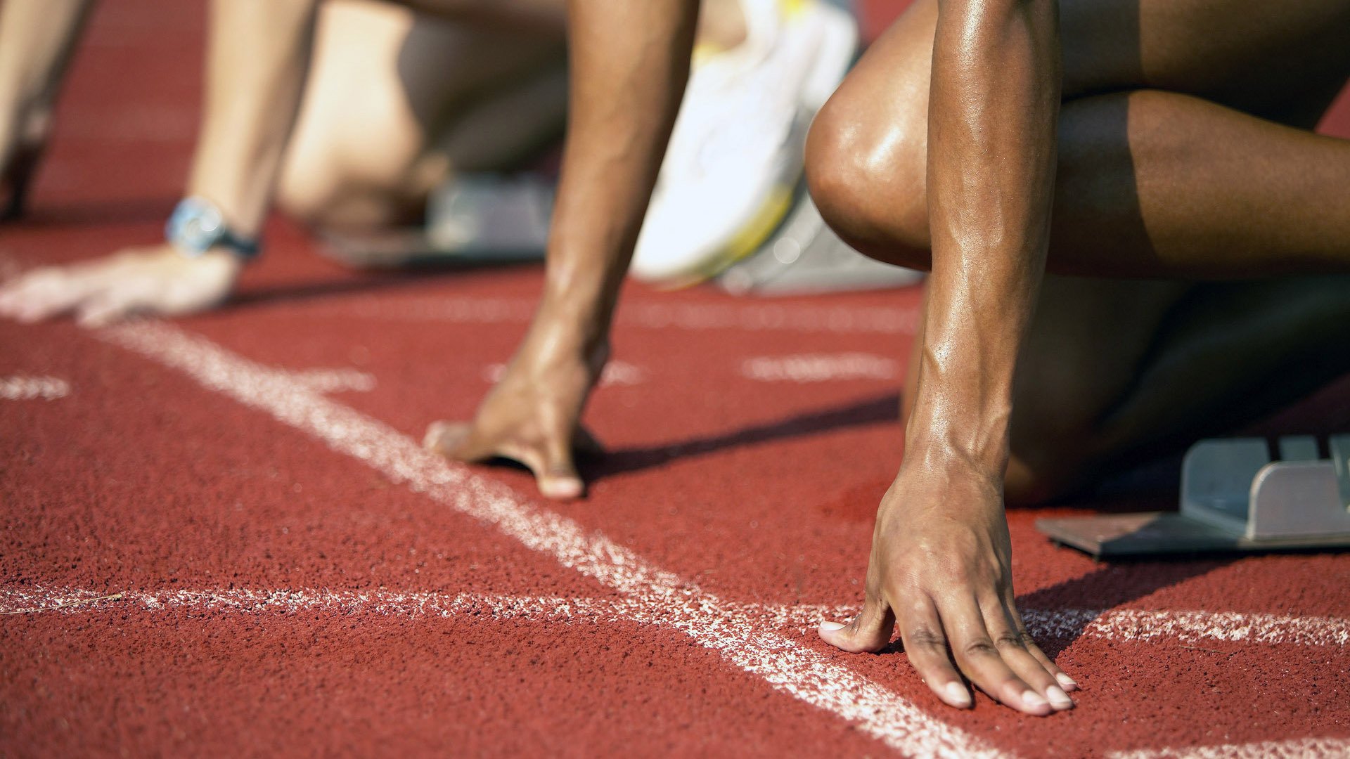 体育新闻中心教练智慧分享,教练员新闻